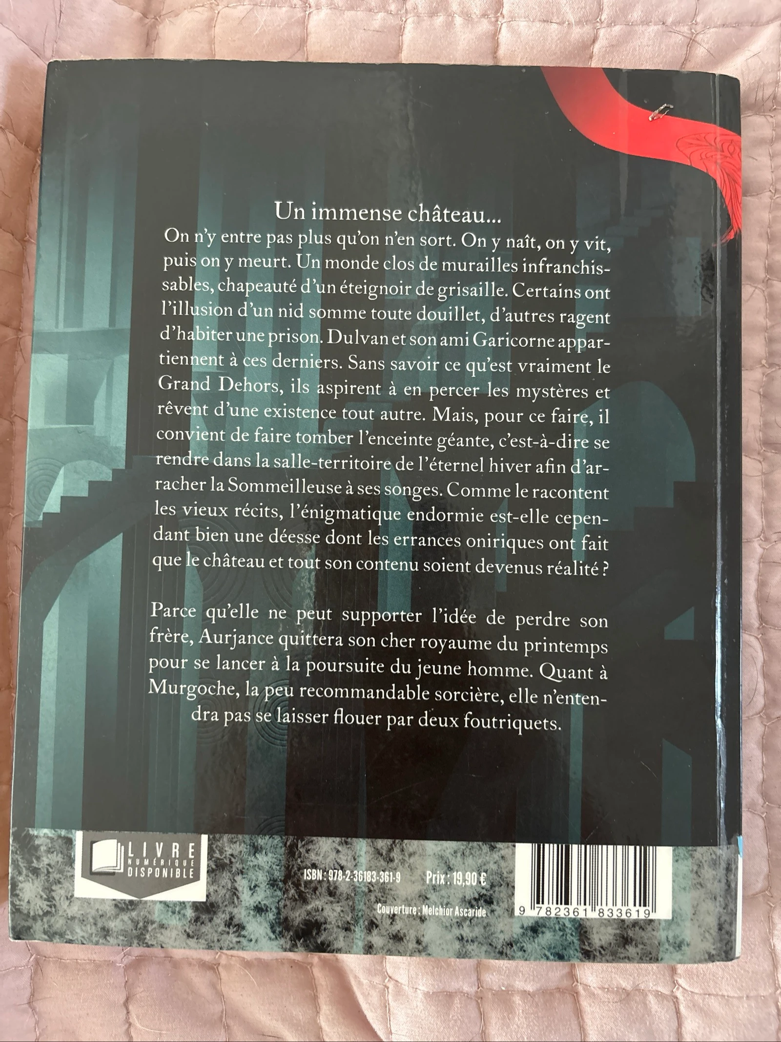 Pierre-Fendre boek – photo 2